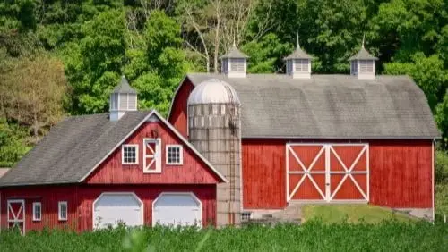 démoussage pour bâtiment agricole